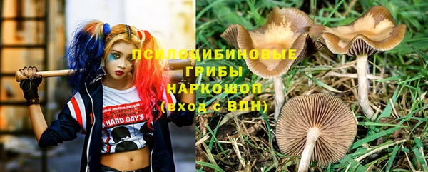 винт Алзамай