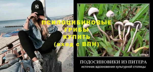 Альфа ПВП Алексин