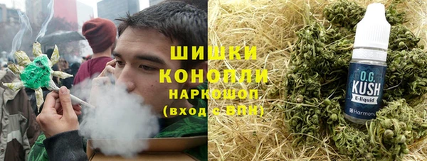 винт Алзамай