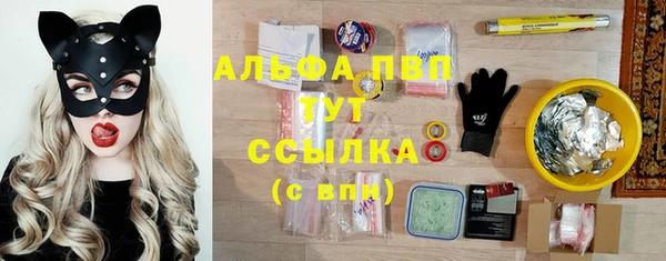 винт Алзамай